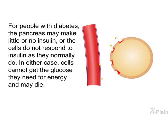 For people with diabetes, the pancreas may make little or no insulin, or the cells do not respond to insulin as they normally do. In either case, cells cannot get the glucose they need for energy and may die.