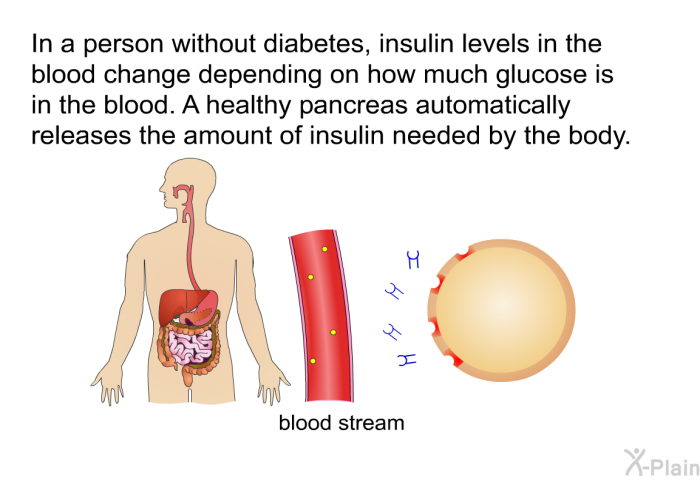 In a person without diabetes, insulin levels in the blood change depending on how much glucose is in the blood. A healthy pancreas automatically releases the amount of insulin needed by the body.