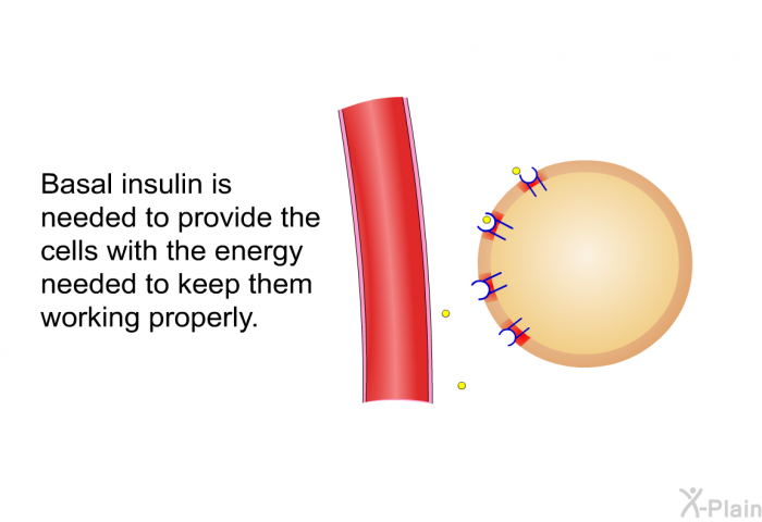 Basal insulin is needed to provide the cells with the energy needed to keep them working properly.