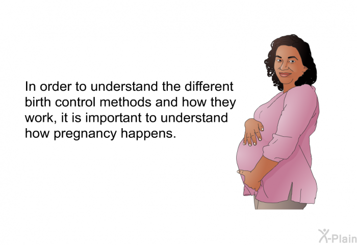 In order to understand the different birth control methods and how they work, it is important to understand how pregnancy happens.