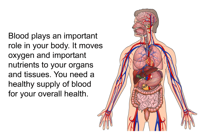 Blood plays an important role in your body. It moves oxygen and important nutrients to your organs and tissues. You need a healthy supply of blood for your overall health.
