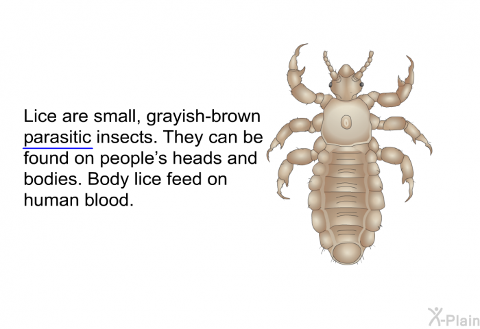 Lice are small, grayish-brown parasitic insects. They can be found on people's heads and bodies. Body lice feed on human blood.