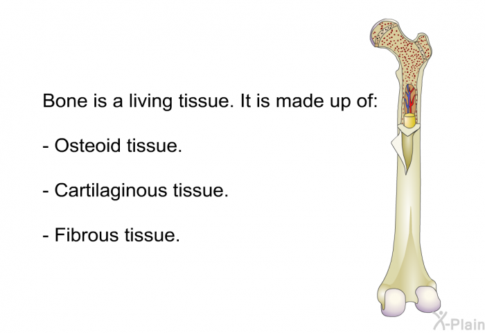Bone is a living tissue. It is made up of:  Osteoid tissue. Cartilaginous tissue. Fibrous tissue.