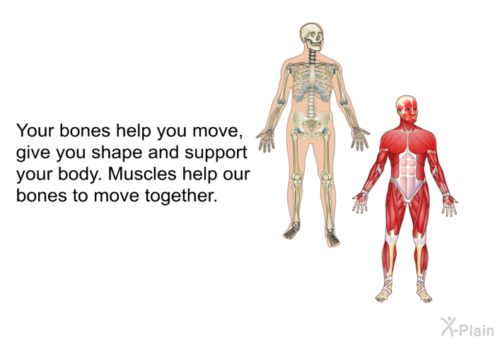 Your bones help you move, give you shape and support your body. Muscles help our bones to move together.