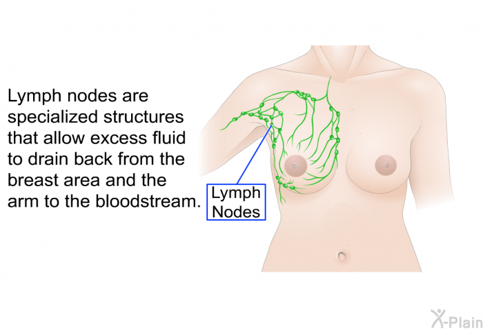 Lymph nodes are specialized structures that allow excess fluid to drain back from the breast area and the arm to the bloodstream.