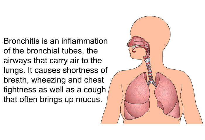 Bronchitis is an inflammation of the bronchial tubes, the airways that carry air to the lungs. It causes shortness of breath, wheezing and chest tightness as well as a cough that often brings up mucus.