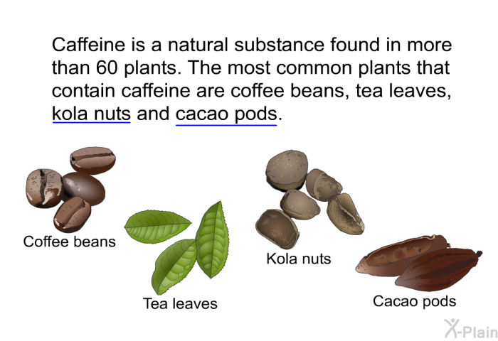 Caffeine is a natural substance found in more than 60 plants. The most common plants that contain caffeine are coffee beans, tea leaves, kola nuts and cacao pods.