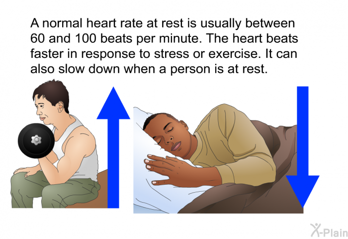 A normal heart rate at rest is usually between 60 and 100 beats per minute. The heart beats faster in response to stress or exercise. It can also slow down when a person is at rest.