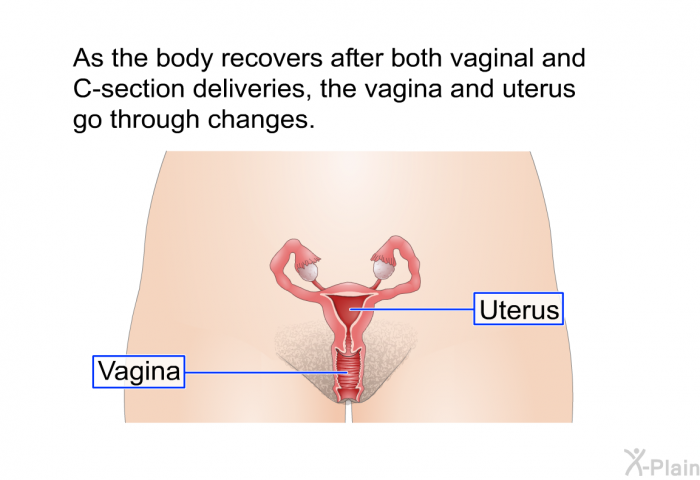 As the body recovers after both vaginal and C-section deliveries, the vagina and uterus go through changes.