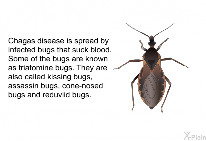 Chagas disease is spread by infected bugs that suck blood. Some of the bugs are known as triatomine bugs. They are also called kissing bugs, assassin bugs, cone-nosed bugs and reduviid bugs.