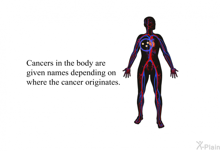 Cancers in the body are given names depending on where the cancer originates.