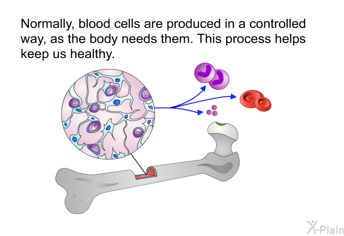 Normally, blood cells are produced in a controlled way, as the body needs them. This process helps keep us healthy.