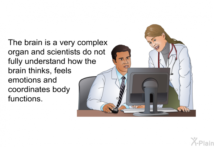 The brain is a very complex organ and scientists do not fully understand how the brain thinks, feels emotions and coordinates body functions.