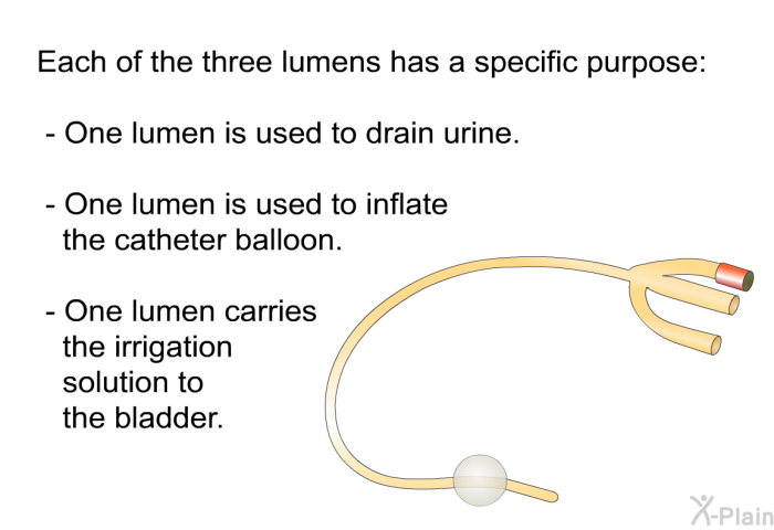 Each of the three lumens has a specific purpose:  One lumen is used to drain urine. One lumen is used to inflate the catheter balloon. One lumen carries the irrigation solution to the bladder.