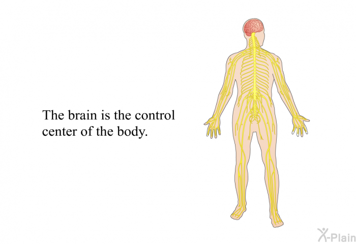The brain is the control center of the body.