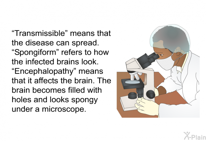 “Transmissible” means that the disease can spread. “Spongiform” refers to how the infected brains look. “Encephalopathy” means that it affects the brain. The brain becomes filled with holes and looks spongy under a microscope.