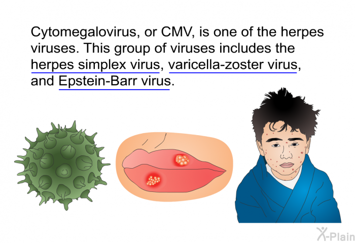 Cytomegalovirus, or CMV, is one of the herpes viruses. This group of viruses includes the herpes simplex virus, varicella-zoster virus, and Epstein-Barr virus.