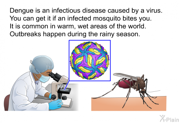 Dengue is an infectious disease caused by a virus. You can get it if an infected mosquito bites you. It is common in warm, wet areas of the world. Outbreaks happen during the rainy season.