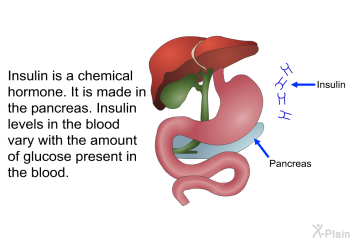 Insulin is a chemical hormone. It is made in the pancreas. Insulin levels in the blood vary with the amount of glucose present in the blood.