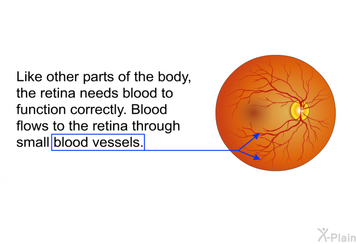 Like other parts of the body, the retina needs blood to function correctly. Blood flows to the retina through small blood vessels.