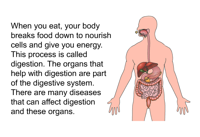 When you eat, your body breaks food down to nourish cells and give you energy. This process is called digestion. The organs that help with digestion are part of the digestive system. There are many diseases that can affect digestion and these organs.