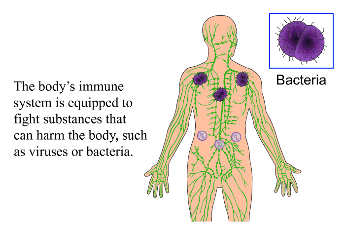 The body's immune system is equipped to fight substances that can harm the body, such as viruses or bacteria.