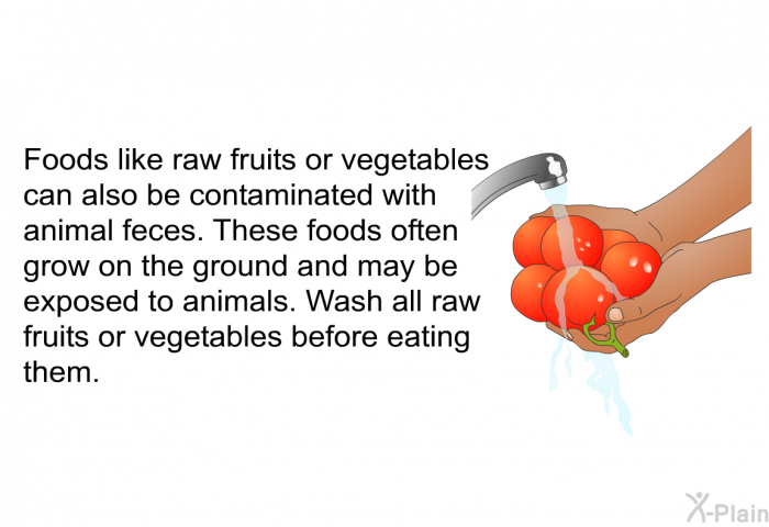 Foods like raw fruits or vegetables can also be contaminated with animal feces. These foods often grow on the ground and may be exposed to animals. Wash all raw fruits or vegetables before eating them.