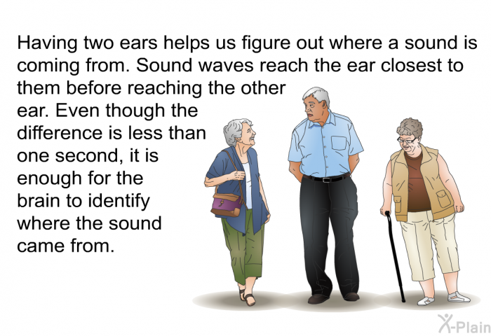 Having two ears helps us figure out where a sound is coming from. Sound waves reach the ear closest to them before reaching the other ear. Even though the difference is less than one second, it is enough for the brain to identify where the sound came from.