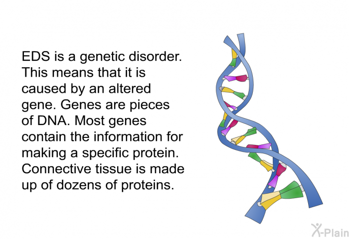 EDS is a genetic disorder. This means that it is caused by an altered gene. Genes are pieces of DNA. Most genes contain the information for making a specific protein. Connective tissue is made up of dozens of proteins.