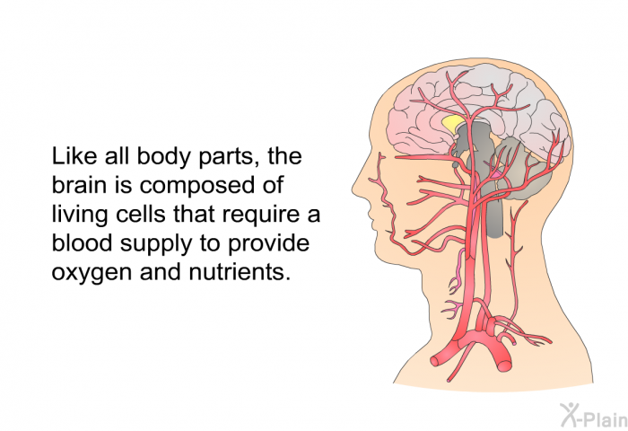 Like all body parts, the brain is composed of living cells that require a blood supply to provide oxygen and nutrients.