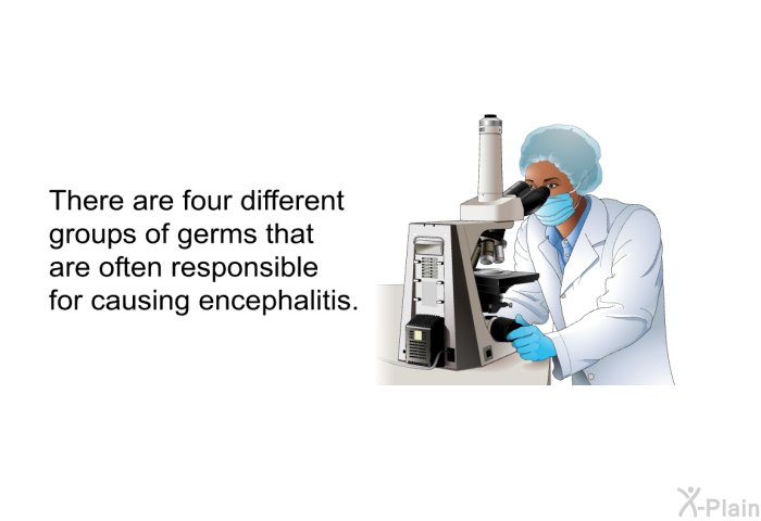 There are three different groups of germs that are often responsible for causing encephalitis.