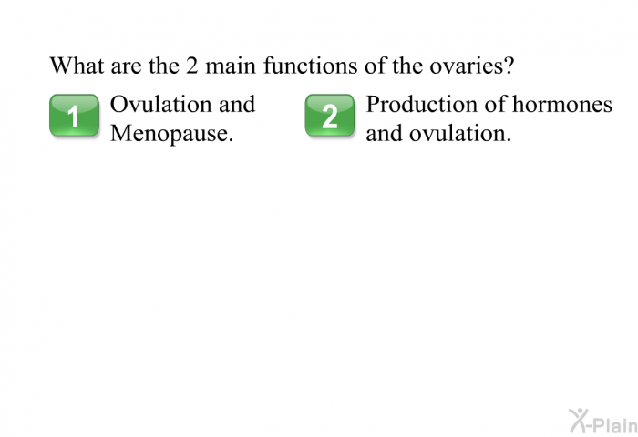 What are the 2 main functions of the ovaries?  Ovulation and menopause. Production of hormones and ovulation.