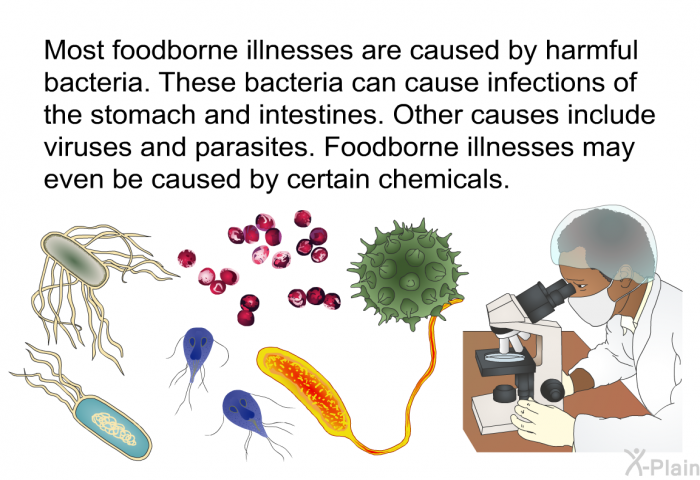 Most foodborne illnesses are caused by harmful bacteria. These bacteria can cause infections of the stomach and intestines. Other causes include viruses and parasites. Foodborne illnesses may even be caused by certain chemicals.