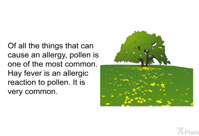 Of all the things that can cause an allergy, pollen is one of the most common. Hay fever is an allergic reaction to pollen. It is very common.