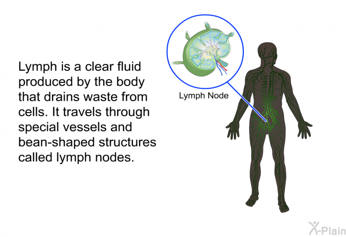 Lymph is a clear fluid produced by the body that drains waste from cells. It travels through special vessels and bean-shaped structures called lymph nodes.