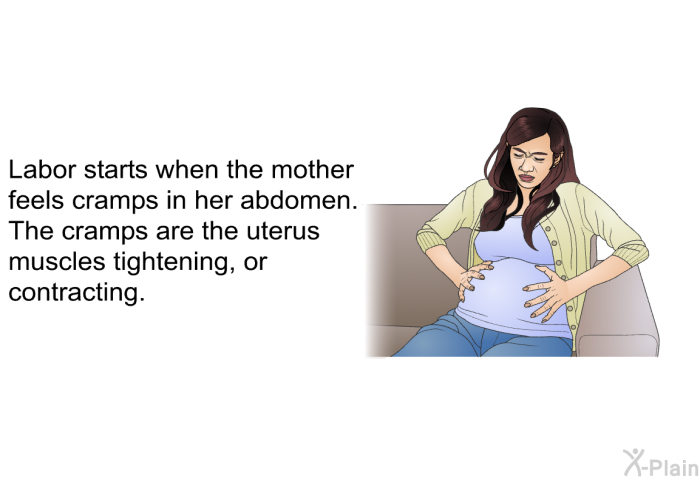 Labor starts when the mother feels cramps in her abdomen. The cramps are the uterus muscles tightening, or contracting.