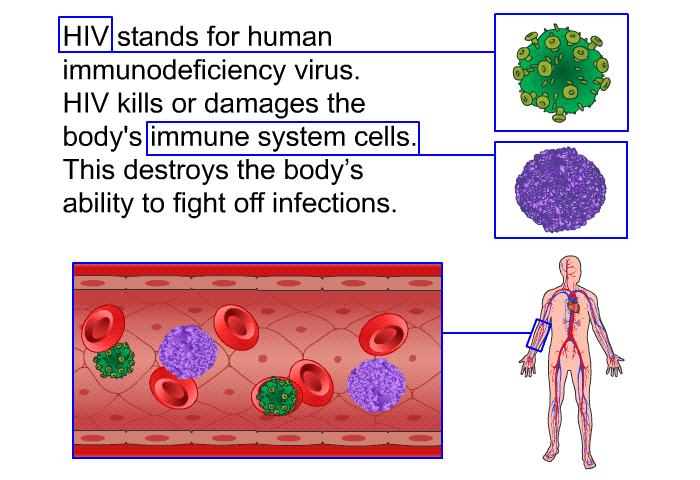 HIV stands for human immunodeficiency virus. HIV kills or damages the body's immune system cells. This destroys the body's ability to fight off infections.