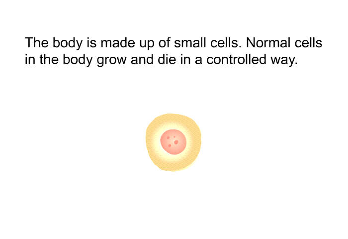 The body is made up of small cells. Normal cells in the body grow and die in a controlled way.