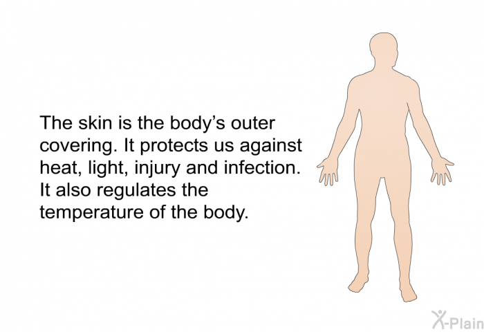 The skin is the body's outer covering. It protects us against heat, light, injury and infection. It also regulates the temperature of the body.