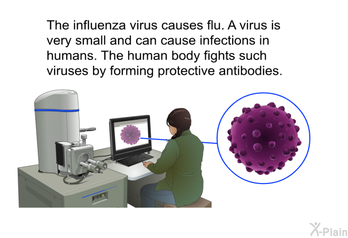 The influenza virus causes flu. A virus is very small and can cause infections in humans. The human body fights such viruses by forming protective antibodies.