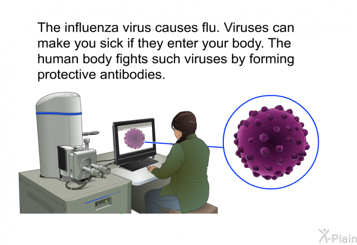 The influenza virus causes flu. Viruses can make you sick if they enter your body. The human body fights such viruses by forming protective antibodies.