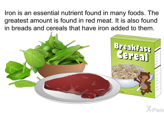 Iron is an essential nutrient found in many foods. The greatest amount is found in red meat. It is also found in breads and cereals that have iron added to them.