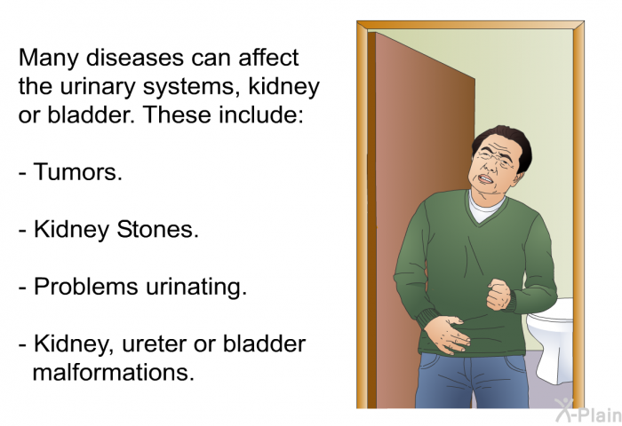 Many diseases can affect the urinary systems, kidney or bladder. These include:  Tumors. Kidney Stones. Problems urinating. Kidney, ureter or bladder malformations.