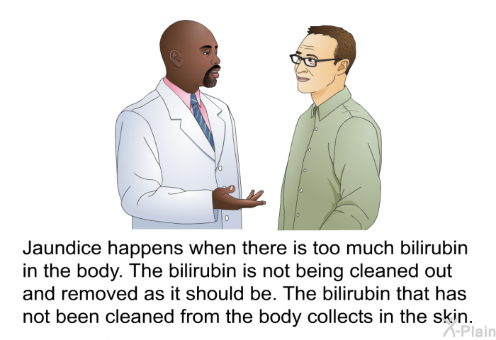 Jaundice happens when there is too much bilirubin in the body. The bilirubin is not being cleaned out and removed as it should be. The bilirubin that has not been cleaned from the body collects in the skin.