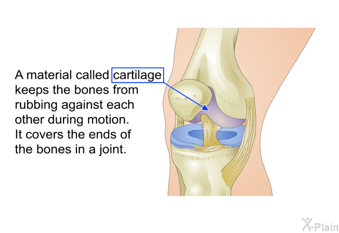 A material called cartilage keeps the bones from rubbing against each other during motion. It covers the ends of the bones in a joint.