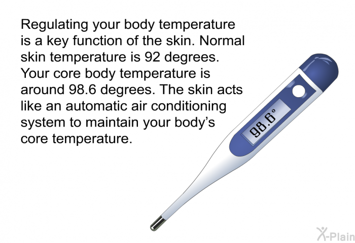 Regulating your body temperature is a key function of the skin. Normal skin temperature is 92 degrees. Your core body temperature is around 98.6 degrees. The skin acts like an automatic air conditioning system to maintain your body's core temperature.