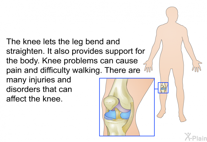 The knee lets the leg bend and straighten. It also provides support for the body. Knee problems can cause pain and difficulty walking. There are many injuries and disorders that can affect the knee.