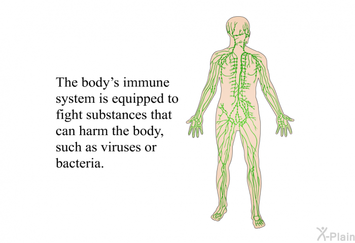 The body's immune system is equipped to fight substances that can harm the body, such as viruses or bacteria.