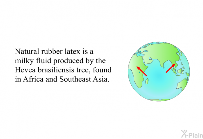 Natural rubber latex is a milky fluid produced by the Hevea brasiliensis tree, found in Africa and Southeast Asia.