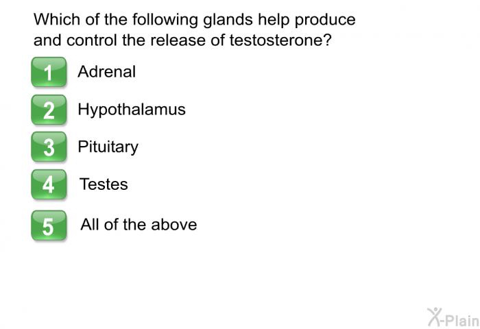 Which of the following glands help produce and control the release of testosterone?  Adrenal Hypothalamus Pituitary Testes All of the above